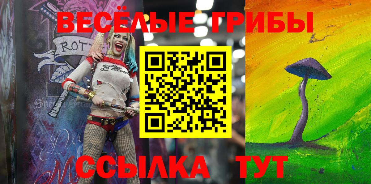 Великие Луки  Псилоцибиновые грибы Psilocybe  Вход с VPN  Галлюциногенные грибы мухоморы 