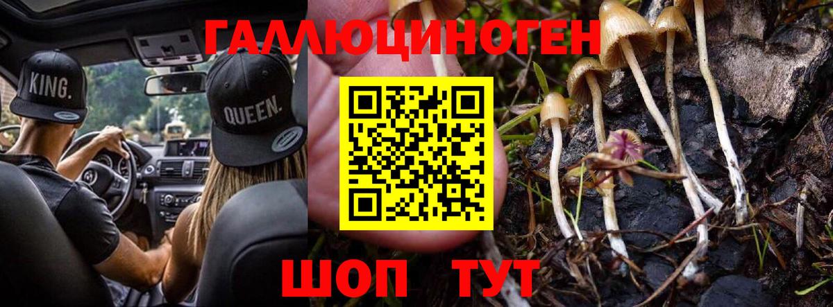 Галлюциногенные грибы Magic Shrooms Великие Луки